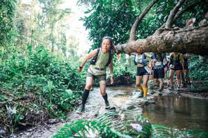 BIB: 
                            <button type="button" onclick="openModal(25461925)" class="btn btn-primary btn-sm float-right btn-popup" data-toggle="modal" data-target=".modal-high-quality">
                        <i class="fas fa-shopping-cart"></i> Add to Cart
                    </button>
                                            <button type="button" onclick="isThisMe(25461925, true)" class="btn btn-success btn-sm float-right btn-popup btn-isme hidden" data-toggle="tooltip" data-placement="bottom" title="นี่คือรูปของคุณใช่ไหม คลิกที่นี่เพื่อเอาเข้าอัลบั้ม">
                        <i class="fas fa-plus"></i> Add to album
                    </button>
                    <button type="button" onclick="isThisMe(25461925, false)" class="btn btn-warning btn-sm float-right btn-popup btn-isnotme hidden">
                        <i class="fas fa-ban"></i> Remove from album
                    </button>